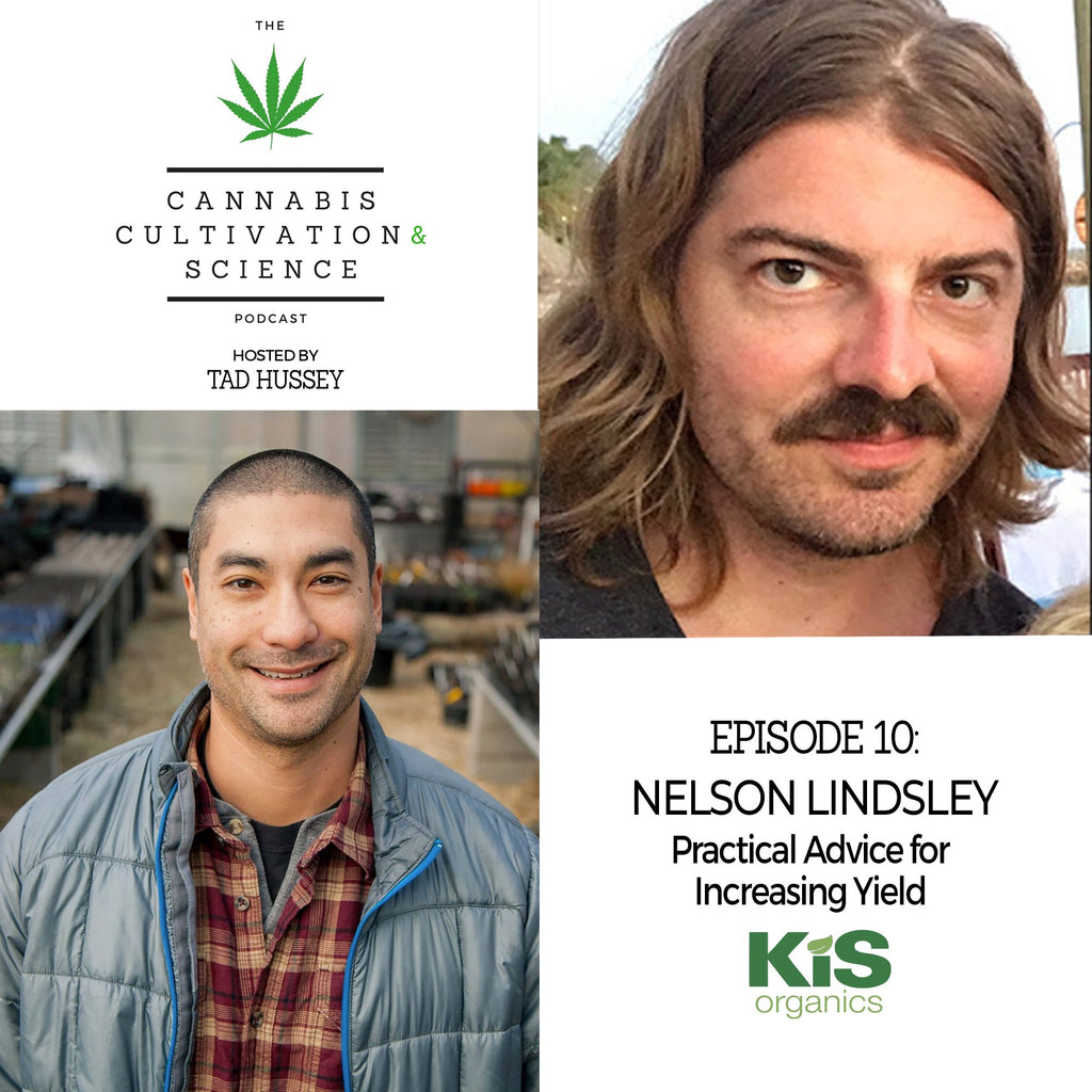 Podcast 10: Practical Advice for Increasing Yield with Nelson Lindsley