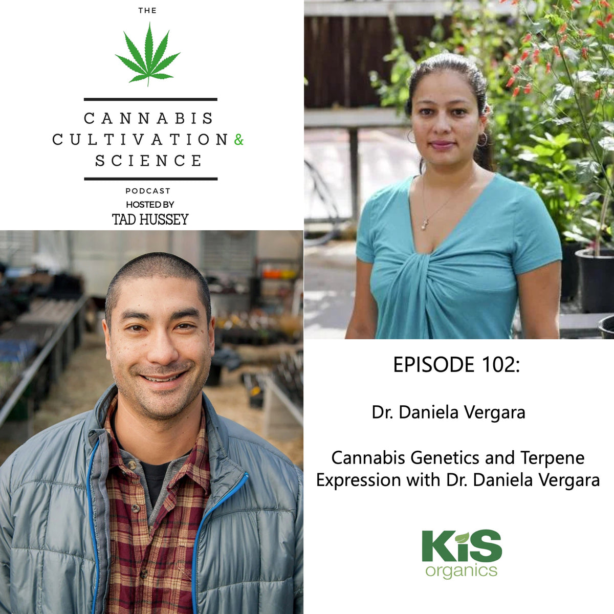 Episode 102: Cannabis Genetics and Terpene Expression with Dr. Daniela   KiS Organics