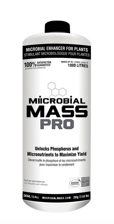 Miicrobial Mass Pro – KiS Organics