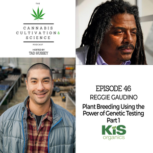 Episode 46: Plant Breeding Using the Power of Genetic Testing Part 1 with Dr. Reggie Gaudino