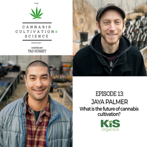 Episode 13: The Future of Cannabis Cultivation with Jaya Palmer