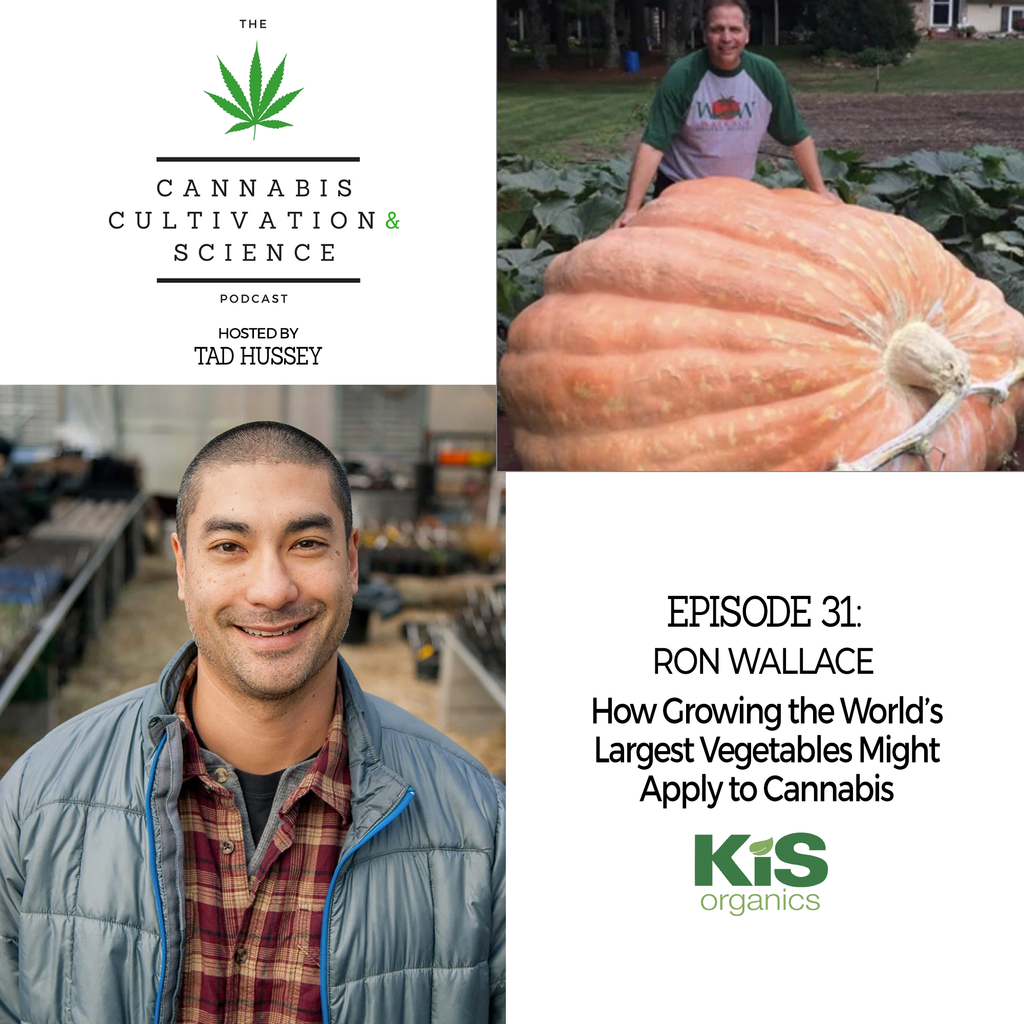 Episode 31: How Growing the World's Largest Vegetable Might Apply to Cannabis with Ron Wallace