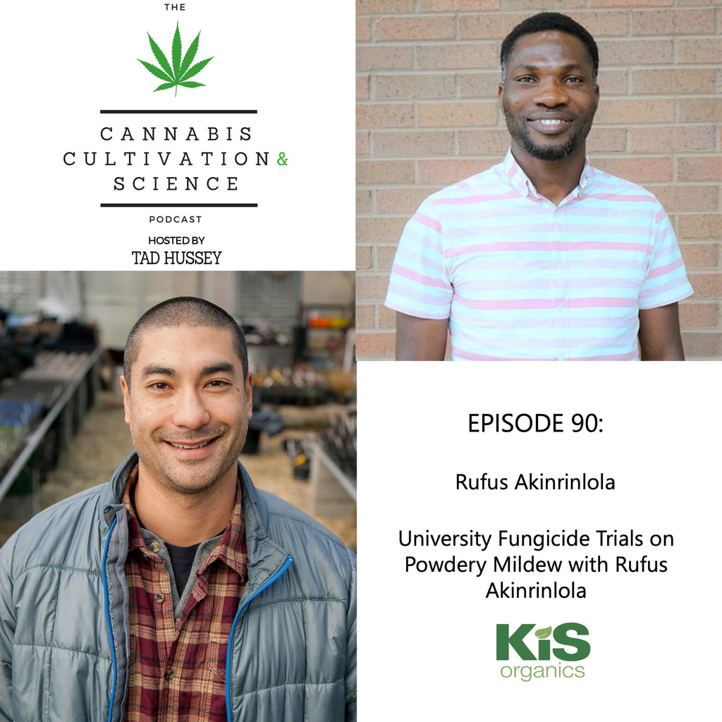 Episode 90: University Fungicide Trials on Powdery Mildew with Rufus Akinrinlola