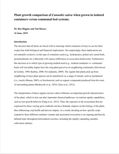 Plant growth comparison of Cannabis sativa when grown in isolated containers vs communal bed systems