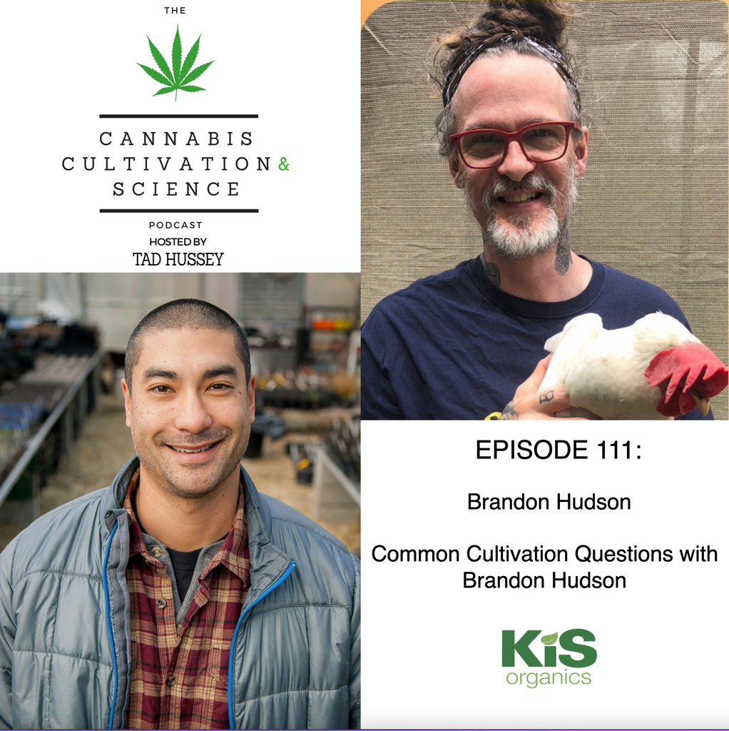 Episode 111: Common Cultivation Questions with Brandon Hudson