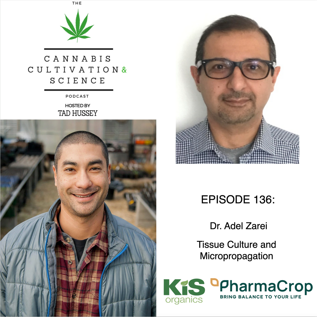 Episode 136: Tissue Culture and Micropropagation with Dr. Adel Zarei