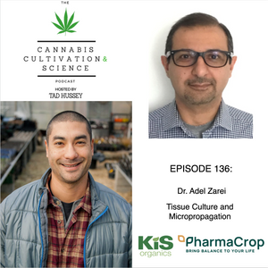 Episode 136: Tissue Culture and Micropropagation with Dr. Adel Zarei