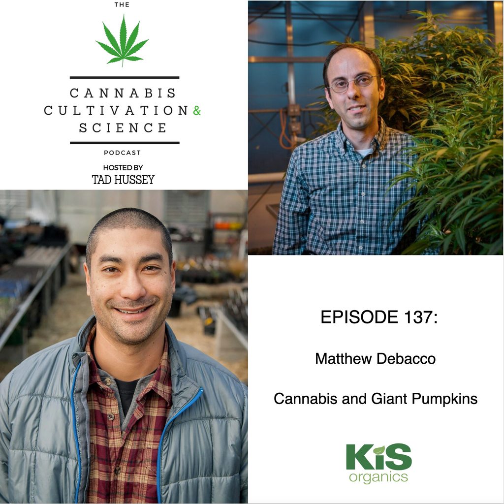 Episode 137: Cannabis and Giant Pumpkins with Matthew DeBacco