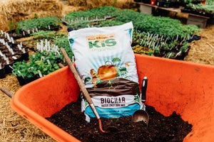What's In Your Soil?  A Breakdown of KIS Organics Soil Ingredients