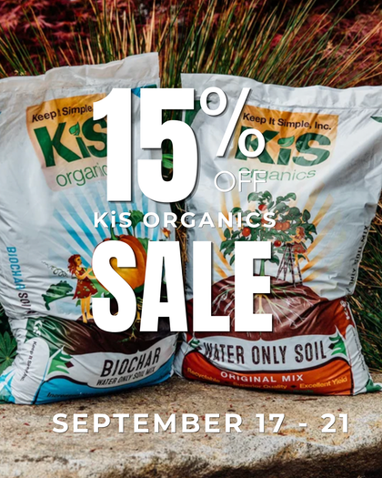 September sale banner