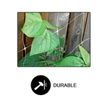 Common Culture Bio Trellis Netting Bulk Roll 5 ft x 60 ft w/ 6in Squares