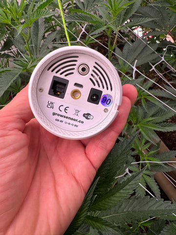indoor plant sensor Grow Sensor PRO