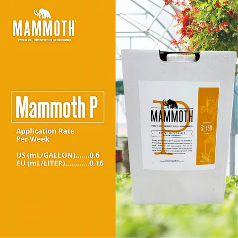 Mammoth P Active Microbials – KiS Organics