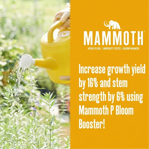Mammoth P Active Microbials – KiS Organics