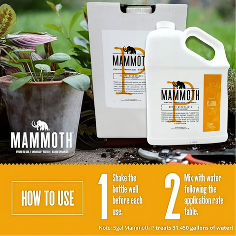 マンモスP Mammoth P Active Microbials – KiS Organics