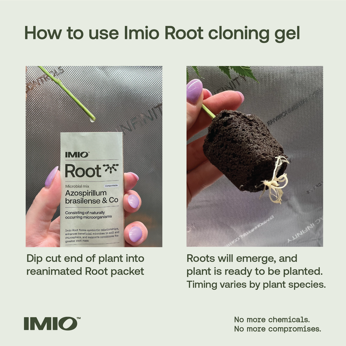 Imio Root - FREE SHIPPING – KiS Organics