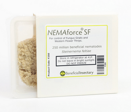 Beneficial Nematodes (NEMAforce™ SF)
