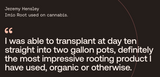 Imio Root grower result graphic.