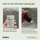 Imio Root in action infographic.