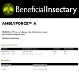 Andersoni (AMBLYforce™ A)
