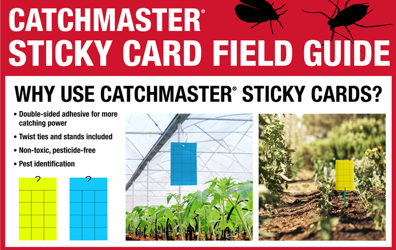 Insect Science Sticky Card Sticky Cards – KiS Organics