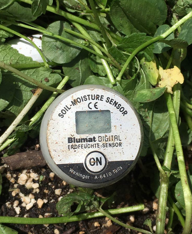 digital soil moisture meter for plants Blumat Digital Moisture Meter – KiS Organics