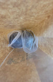 Two mesh brew bags of compost tea ingredients inside a paper bag