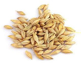 Pile of malted barley included in the Clackamas Coot kit.